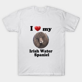 I Love My Irish Water Spaniel T-Shirt